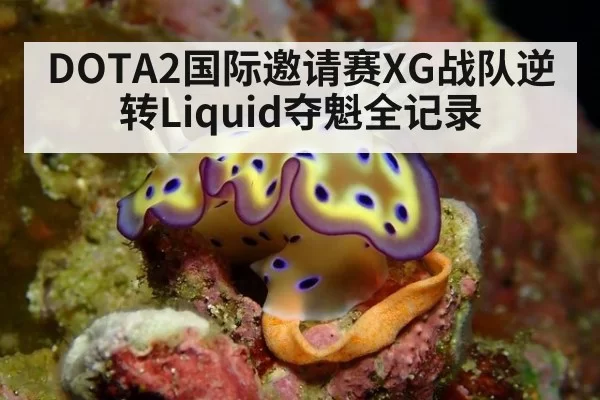 DOTA2国际邀请赛XG战队逆转Liquid夺魁全记录