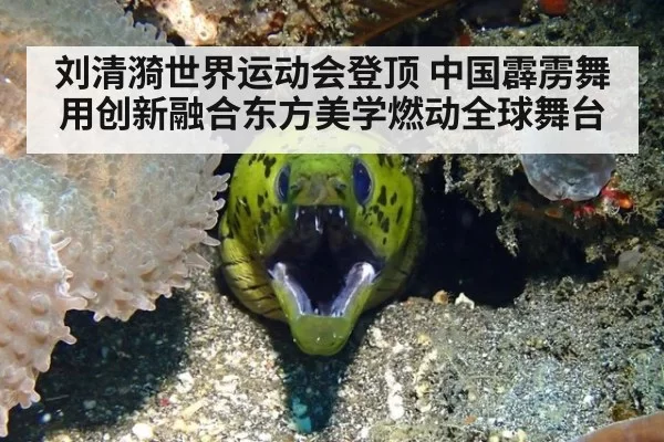 刘清漪世界运动会登顶 中国霹雳舞用创新融合东方美学燃动全球舞台
